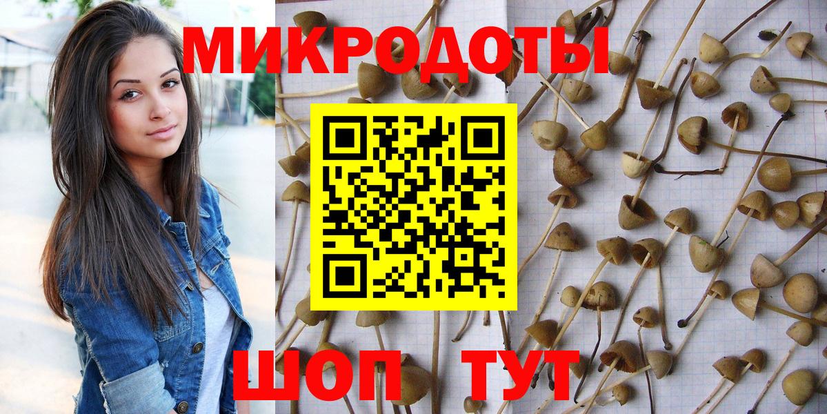 Галлюциногенные грибы прущие грибы  Вход с VPN  наркота  Гусиноозёрск 